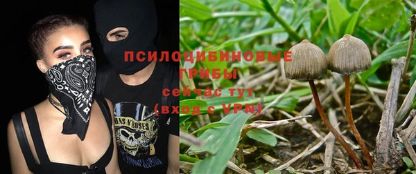 дурь Белоозёрский