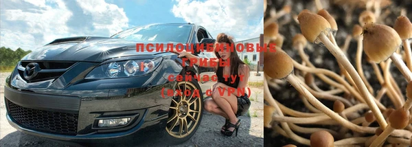 наркотики Белокуриха
