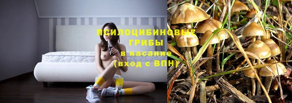 кокс Богородск